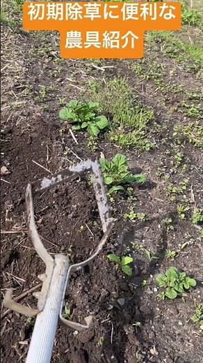 Introducing a farm tool that can easily clear away newly sprouted weeds. It can be used for more ...
