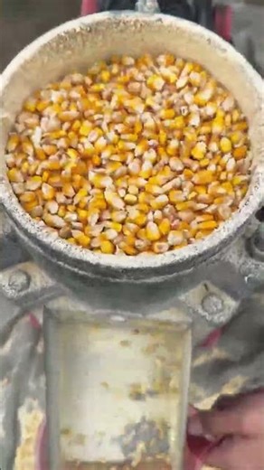 Loudest GRINDING Sounds You'll Hear Today!