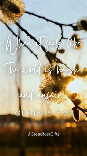 Steadfast Gifts Shop - JW Ministry & Encouragement on Instagram: "1.07.26 Thoughts from today's Daily Text Beautiful reminders ✨️ #jwhopeinjehovah #jwencouraging #jwencouragement #jwencouragementreels #jwstudyjournal jwstudyproject jwstudygram studygram studymotivation jwworldwide jwfThoughtsriends jwsisters jwdailytextjournaling jwdailytextchallenge jwdailytext jwdailybiblereading jwhappy jwwitness jwhappy jwlove"