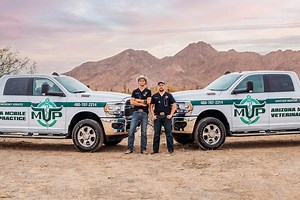 Mobile Veterinary Care for Pigs | Arizona Mobile Vet