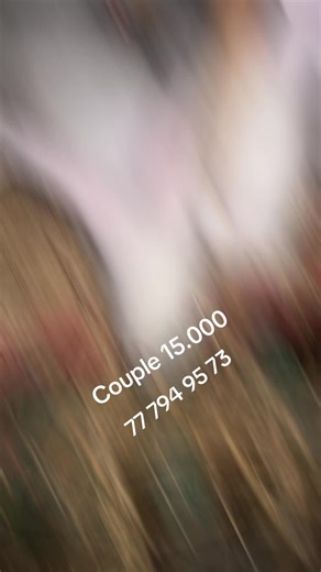 #angora #papillon couple lapin 15.000