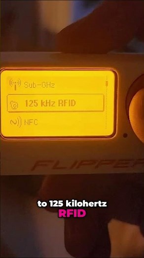 Scan Your Pet's Microchip with Flipper Zero: Cat Hacking