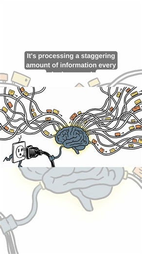 What Is Consciousness Even For? #scienceexplained #evolution #history #biology