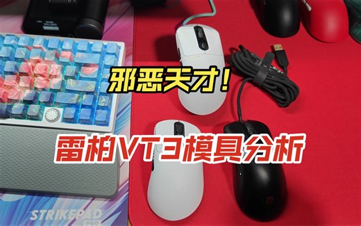 【G9】极度挑人的模具！雷柏vt3系列模具分析