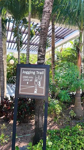 49 reactions · 4 comments | Take advantage of our summer weather all year around to exercise under the sun with tropical views ☀️ what's your favorite workout at the moment? ☀️ #FeelTheOcean #WelcomeOcean #OceanHotels #Mexico #RivieraMaya #OceanRivieraParadise | Ocean Riviera Paradise | Facebook