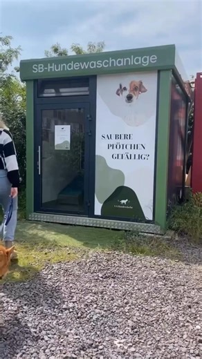 “This Dog Wash Vending Machine Is Printing Money 💰l#usabusiness #usa#usapetlovers#usa #startupideas