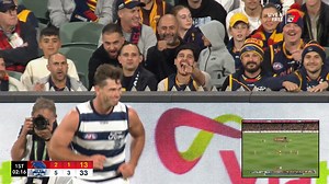 A little bit of fun between Hawkins and a fan 😂 | 7AFL