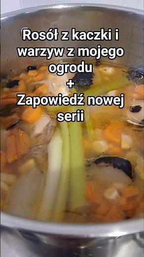 Kolejny dzień z życia ogrodnika - #028 - Rosół z kaczki oraz wyłącznie warzywami z mojego ogrodu