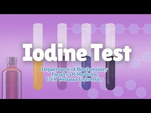 Iodine Test for Starch Detection | Principle, Procedure & Color Change Explained