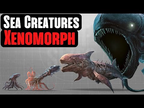Sea Creatures as Xenomorphs | Squid, Blue Whale, Shark, Bloop