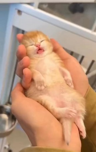 368K views · 8.8K reactions | Tubeless Tyre repair just so easy tubeless Tyre kaise repair Karte Hain #tyre #mechanic #truck #shortvideo #repair @SK tyre ⚙️ mechanic️ @Working  | Awfcats | Facebook