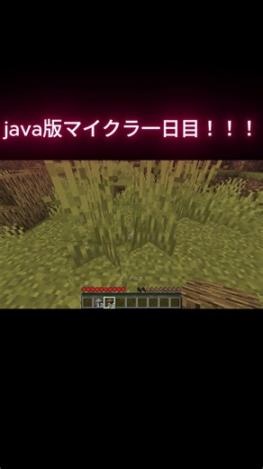 初めてのJava版！！！【Minecraft】#shorts #マイクラjava版 #ゲーム #minecraft