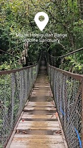 192 reactions · 29 shares | Did you know that there is a species of...