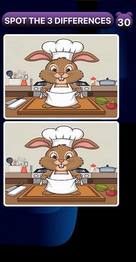 Spot the 3 Differences Hard Short Puzzle #1376