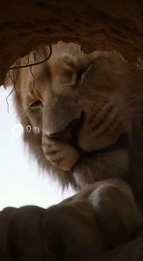 Lion vs Rabbit: The Unexpected Ending!