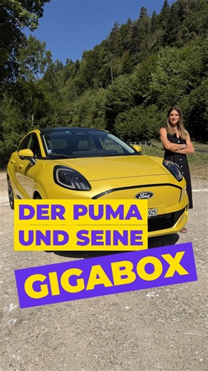 Der Puma und seine GigaBox