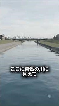 Why Was a 22km "New River" Purposefully Built for the Arakawa in Tokyo?
