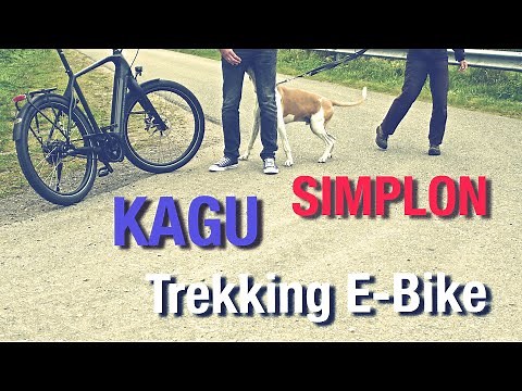 Simplon Kagu Bosch CX 275 mit Rohloff E14 elektronischer Nabenschaltung und Gates Zahnriemen