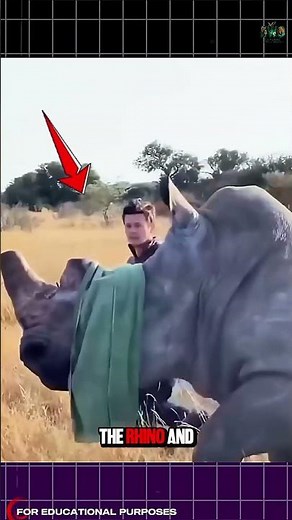 Why Conservationists Cut Off Rhino Horns 😳🦏. #documentary#usashorts#fyp