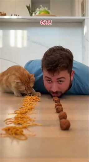 Cat vs Man: Ultimate Food Eating Race! 🐱🍽️😂"#CatVsMan #FoodRace #FunnyAnimals #PetChallenge #cats