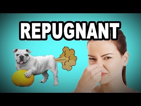 💩 Learn English Words - REPUGNANT - Meaning, Vocabulary with Pictures and Examples