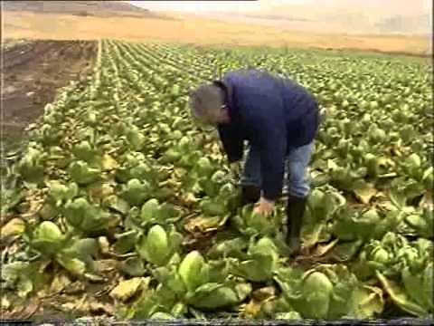 Sci Eye Atoms and Molecules S078LS66