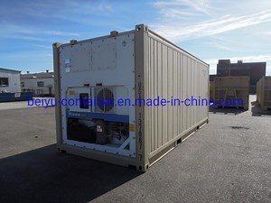 [Hot Item] 20FT Reefer Container with Daikin and Thermo King Ru
