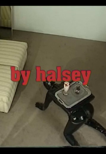 allthingshalsey on TikTok