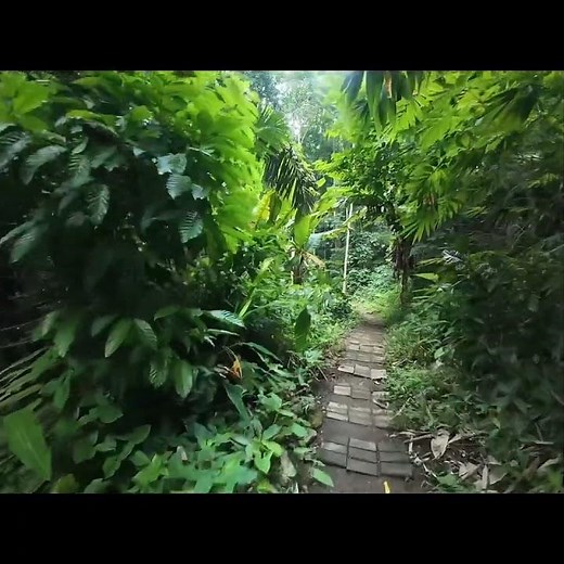 Hidden Falls at Hidden Valley Springs in Calauan,Laguna Part 2