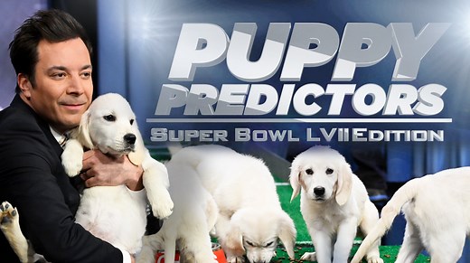 It’s time for our beloved Super Bowl tradition… Puppy Predictors! | The Tonight Show Starring Jimmy Fallon
