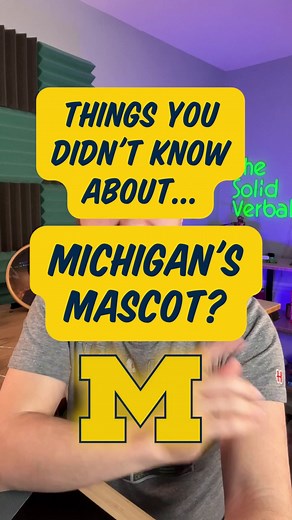 1.9K views · 48 reactions | Michigan’s mascot is NOT A WOLVERINE #michigan #michiganwolverines | The Solid Verbal | Facebook
