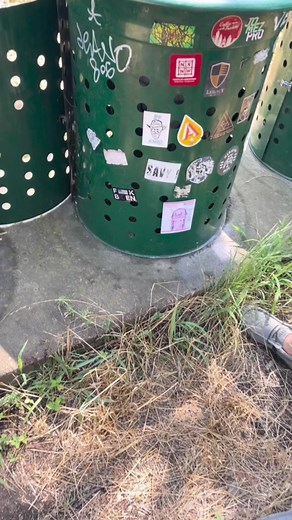 Sticker slap. #stickerslap #sticker #stickers #stickerslapping #stickerslaps #stickerslapped #customsticker #graffiti #graffitisticker #graffitistickers #art #artist #artwork #fyp #fypシ #fypシ゚viral