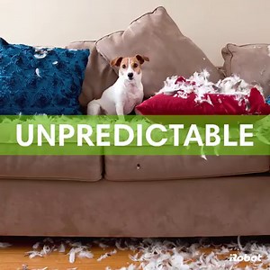 110 reactions · 21 shares | Even with the most unpredictable messes, Roomba® robot has a solution. With the iRobot HOME App, you can clean and schedule on the go. | iRobot | Facebook