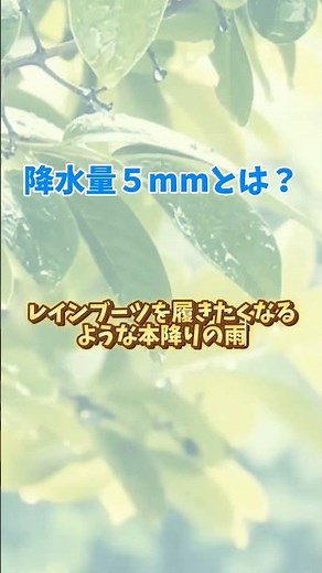 降水量５mmとは？【雨の雑学】