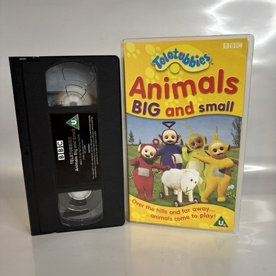 Teletubbies Animals Big & Small VHS BBC Kids Video Rare Vintage 2000s Tape  | eBay UK