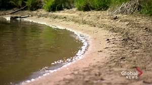 2.8K views | WATCH: The Saskatchewan Water Security Agency is watching lake levels closely as a dry spring and low winter run-off has left most with average to below average water levels for their operating range – via David Baxter. READ MORE: https://trib.al/qqBDDuT | Global Saskatoon | Facebook