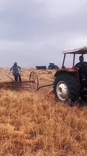 549K views · 1.3K reactions | 2562_The strangest experience in the world #fpy #fpyシ #fpyシviral #fpyreels #fpyviral #fpypageシ #reelsfbpage #reels2024 #reelstrending #reelsfacebook #reelsfbviral | Miguel Gross | Facebook