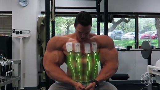 【muscle growth】肌肉膨胀［3］