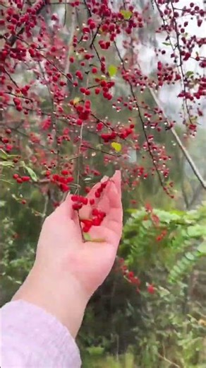 Reveal the Hidden: Spring's Energy in Outdoor Real Shots