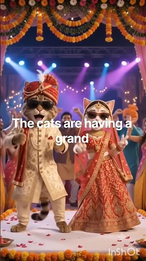 The cat are having a grand