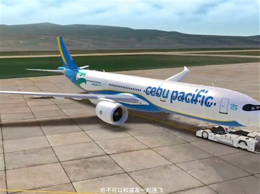 新手开通模拟飞行rfs pro必看