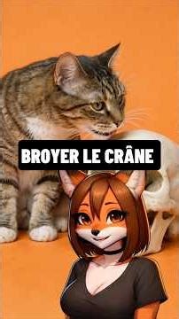Quel animal peut broyer un crâne ? #insolite #animaux #science #chats #shorts