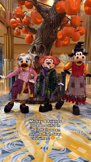 3.6K views · 62 reactions |  Happy Halloween!  • • • #halloweenonthehighseas #disneydream #disneycruise #dcl #disneycruiseline #dclfan #halloween #disneyhalloween | The DIS | Facebook