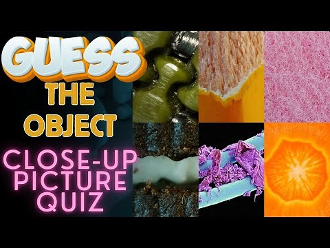 Guess the Zoomed in Image ¦ Close Up Picture Quiz 🔬