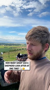 165K views · 8K reactions | Explaining how things work at the farm  | Sean The Sheepman | Facebook