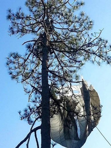 21K views · 438 reactions | Tree Landings. Who's been there done that?? | American Paratrooper | Facebook