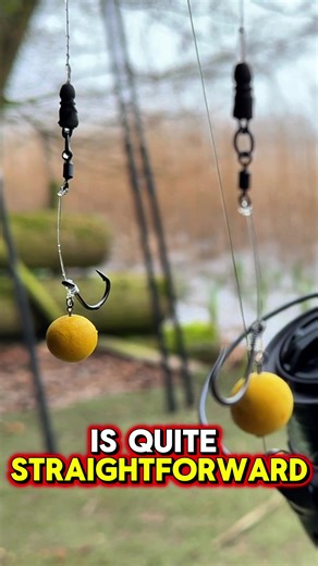 Master the Hinged Stiff Rig for Carp Fishing