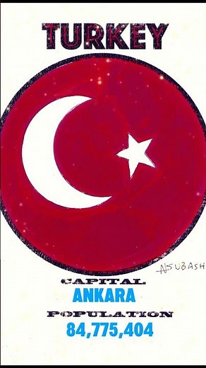 Turkey 🇹🇷 Flag. #turkey #turkish #flag