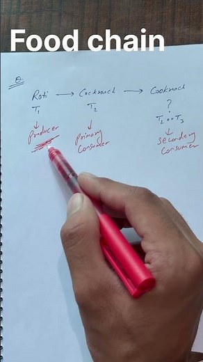 "The Food Chain in Biology? 🪳ECOSYSTEM#NEET #neet #neet aspirants #biology#ecosystem #reneet