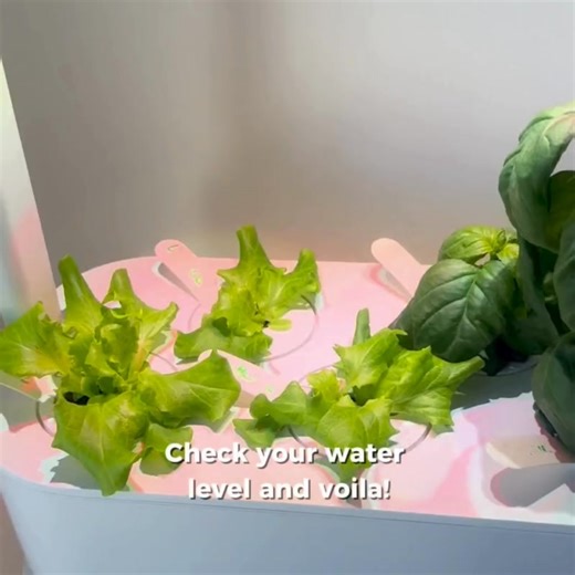 43K views | No mess, no stress—just fresh homegrown food in weeks!  Click & Grow is the easiest way to grow 65+ plant varieties indoors. Just plug in, add water, and let the smart garden do the rest!  | Click & Grow | Facebook